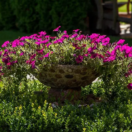 Sraige Апарт-отель