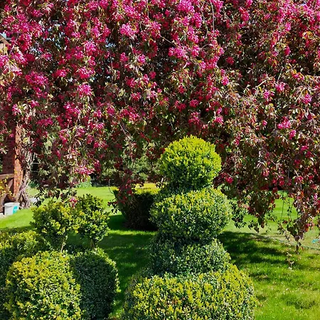 Sraige 3* Паланга