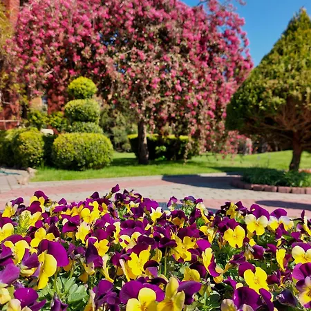 Апарт-отель Sraige