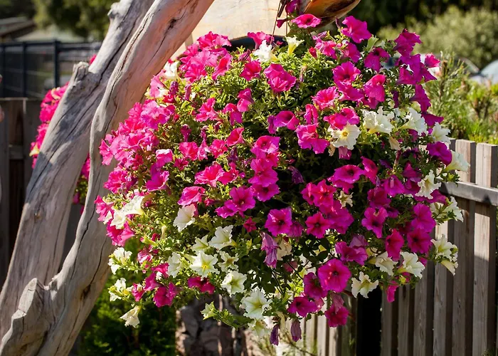 מלון דירות Sraige פלאנגה