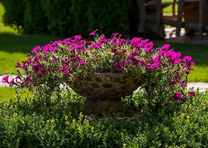 Sraige מלון דירות