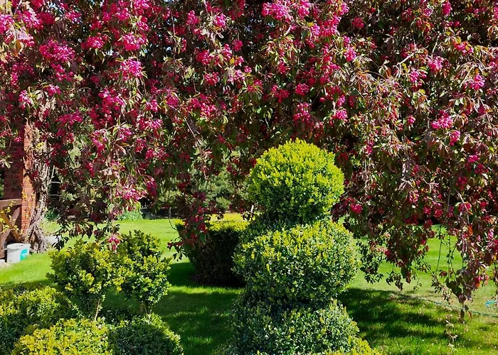 Sraige 3* פלאנגה