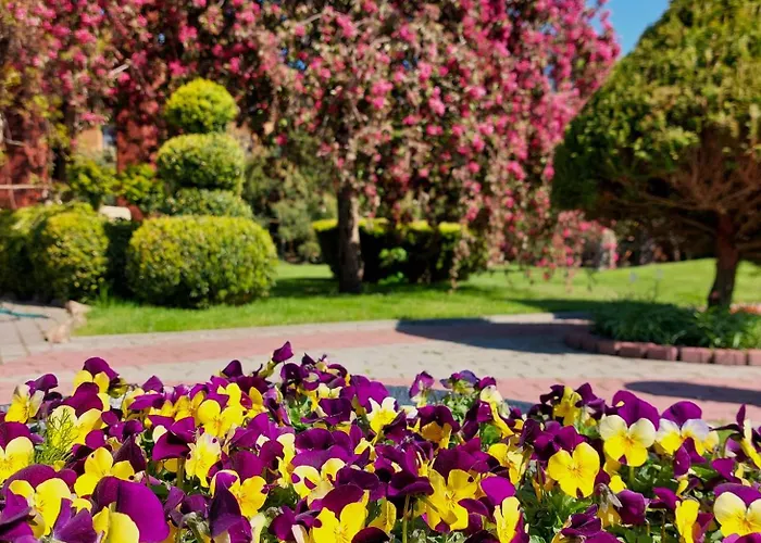 מלון דירות Sraige